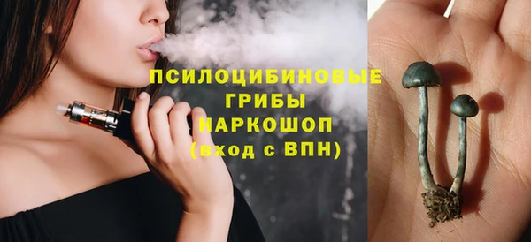 гашиш Няндома