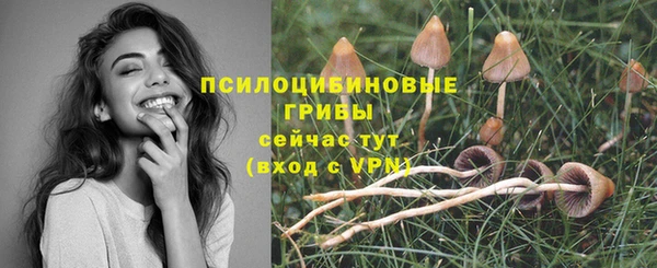 стафф Абаза